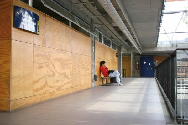 PLYWOOD INMUNIZADO - Imagen 4